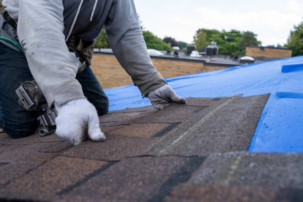Best Best Roofing Contractors  in Rossville, GA