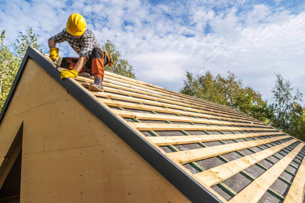 Best Roof Gutter Cleaning  in Rossville, GA