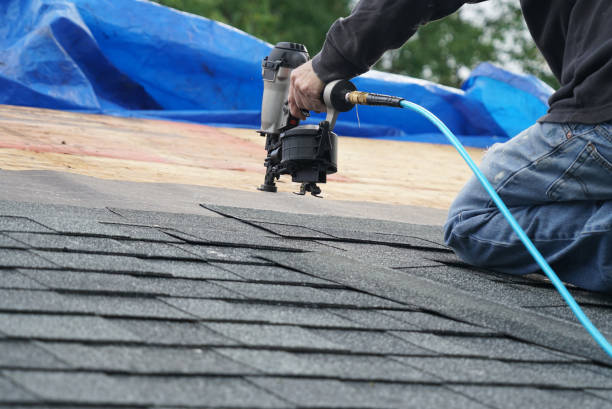 Best Metal Roofing Contractor  in Rossville, GA