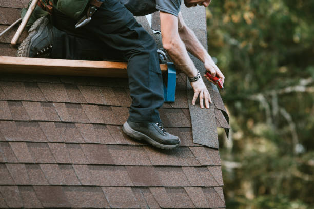Best Roof Gutter Cleaning  in Rossville, GA
